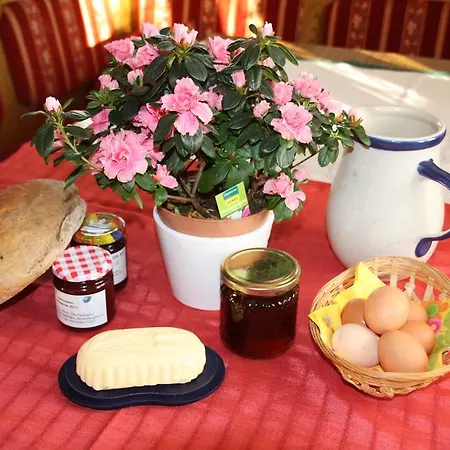 Oberhaslinghof Farma Saalfelden