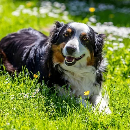 Farma Oberhaslinghof *