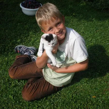 Oberhaslinghof Gospodarstwo agroturystyczne *