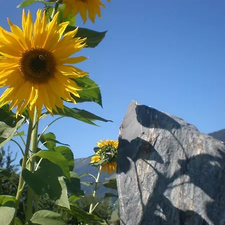 Alojamento de Turismo Rural Oberhaslinghof Saalfelden