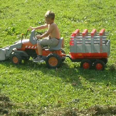 Oberhaslinghof * Saalfelden