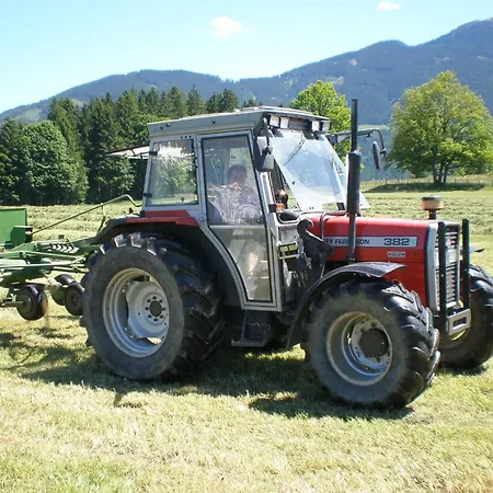 Gospodarstwo agroturystyczne Oberhaslinghof Saalfelden