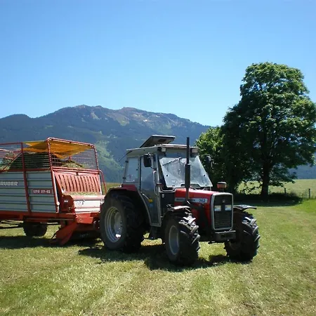 Oberhaslinghof Gospodarstwo agroturystyczne Saalfelden