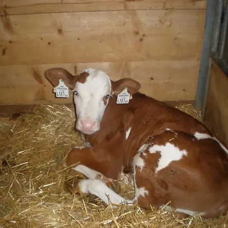 Gospodarstwo agroturystyczne Oberhaslinghof