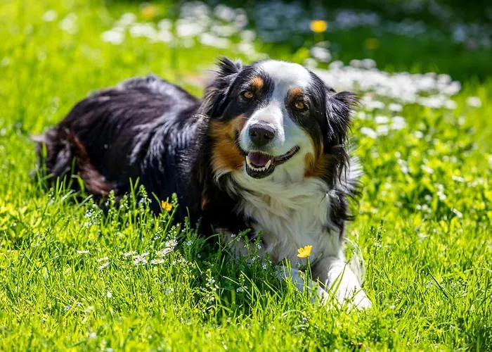 Farma Oberhaslinghof *