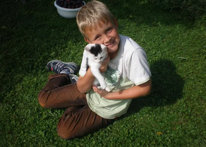 Oberhaslinghof Alojamento de Turismo Rural *