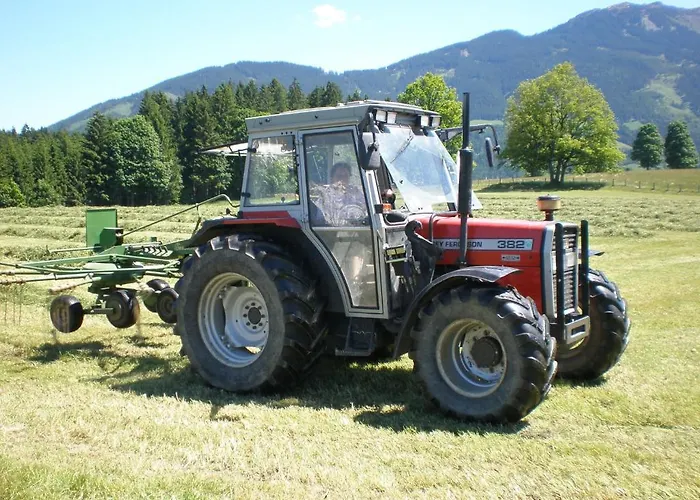 Alojamento de Turismo Rural Oberhaslinghof Saalfelden