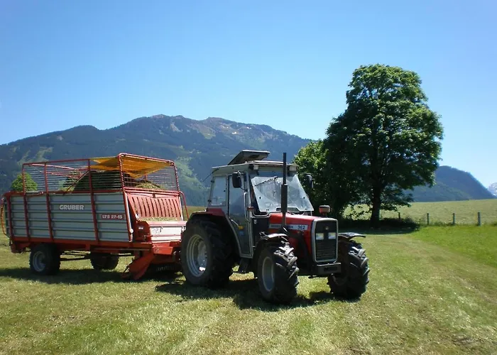 Oberhaslinghof Alojamento de Turismo Rural Saalfelden